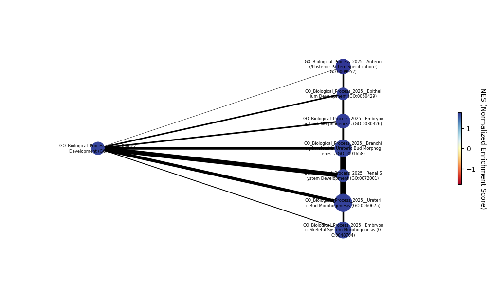 ../_images/tutorials_5_-_Pathway_analysis_41_0.png
