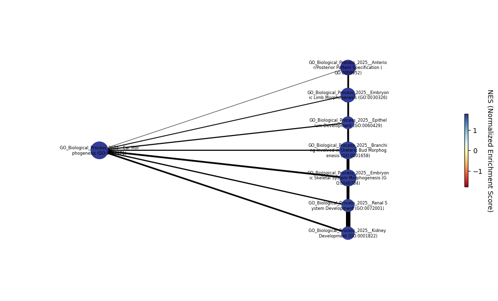 ../_images/tutorials_5_-_Pathway_analysis_41_0.png