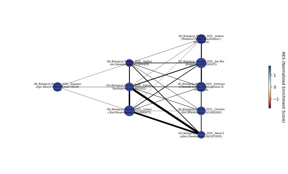 ../_images/tutorials_5_-_Pathway_analysis_41_0.png